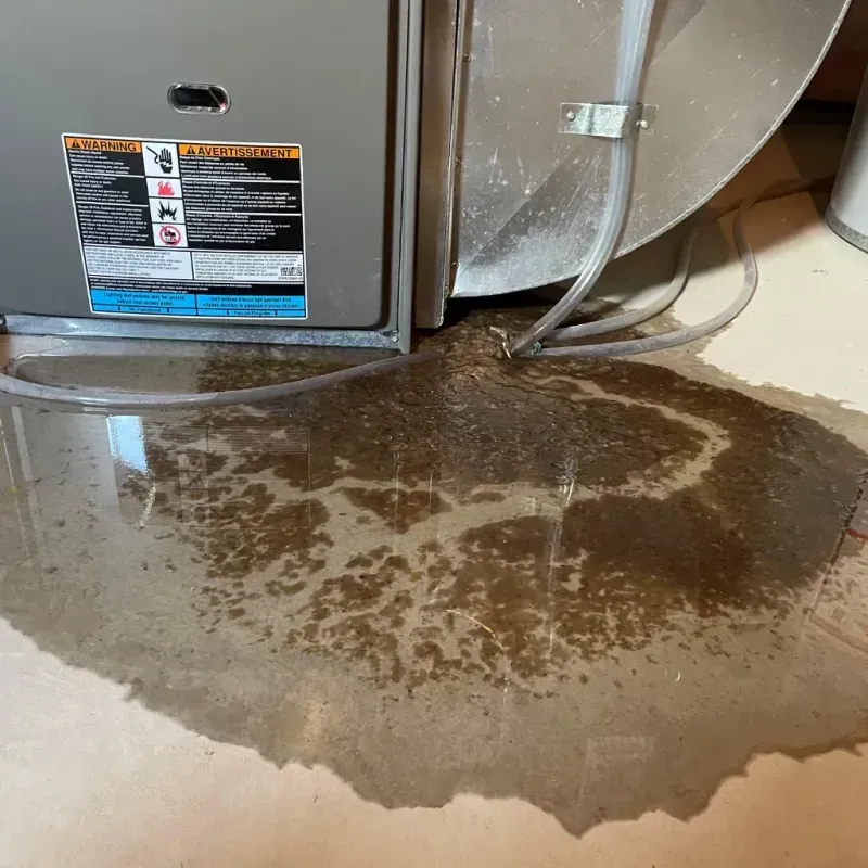 Appliance Leak Cleanup in Laporte, CO